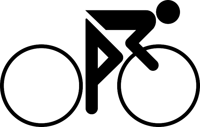 File:icon-bike-sprint.png